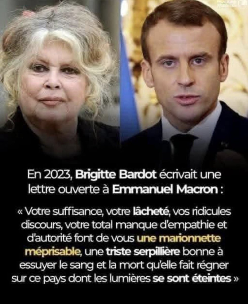 Dana Weinstein tweet media