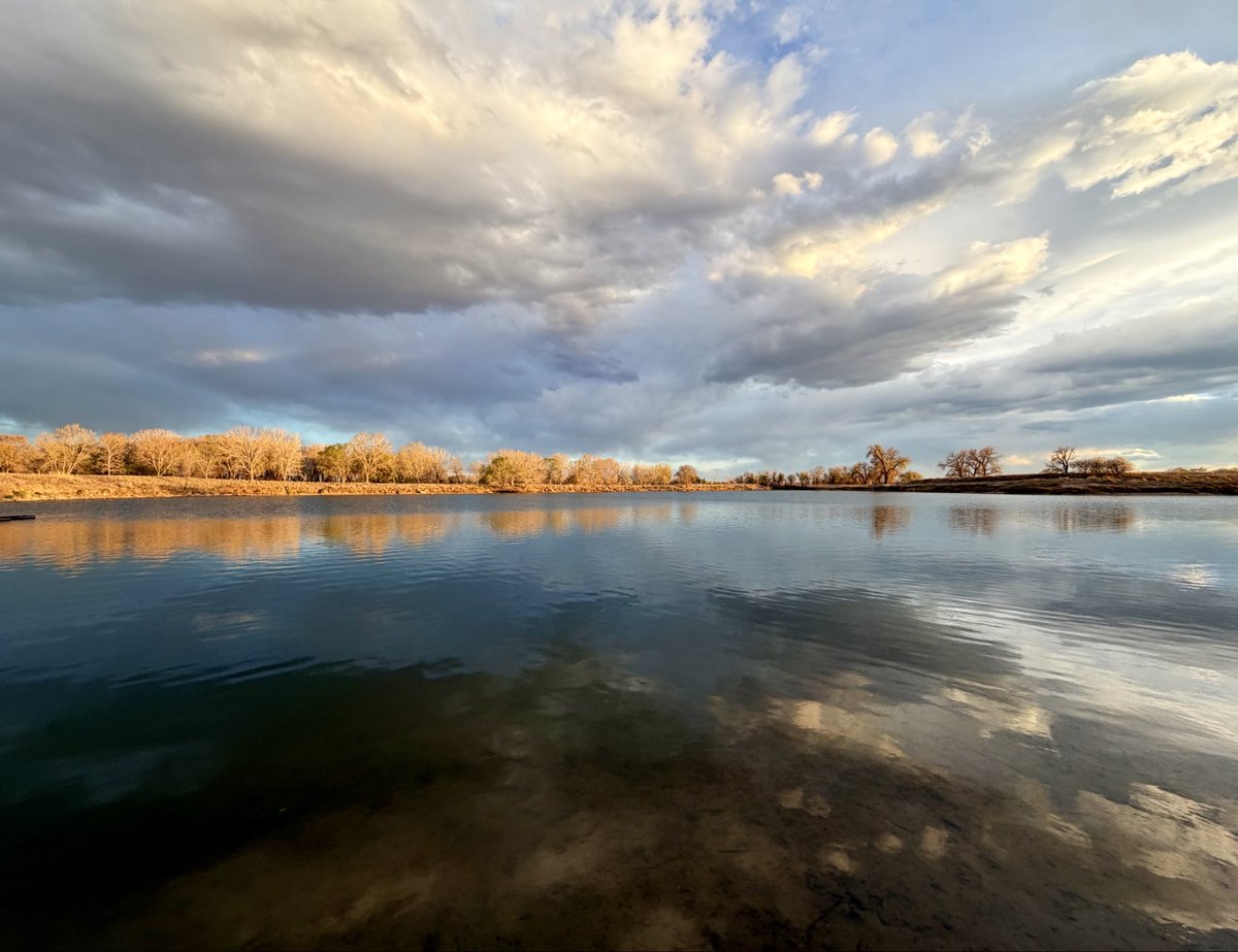 D Miller tweet media