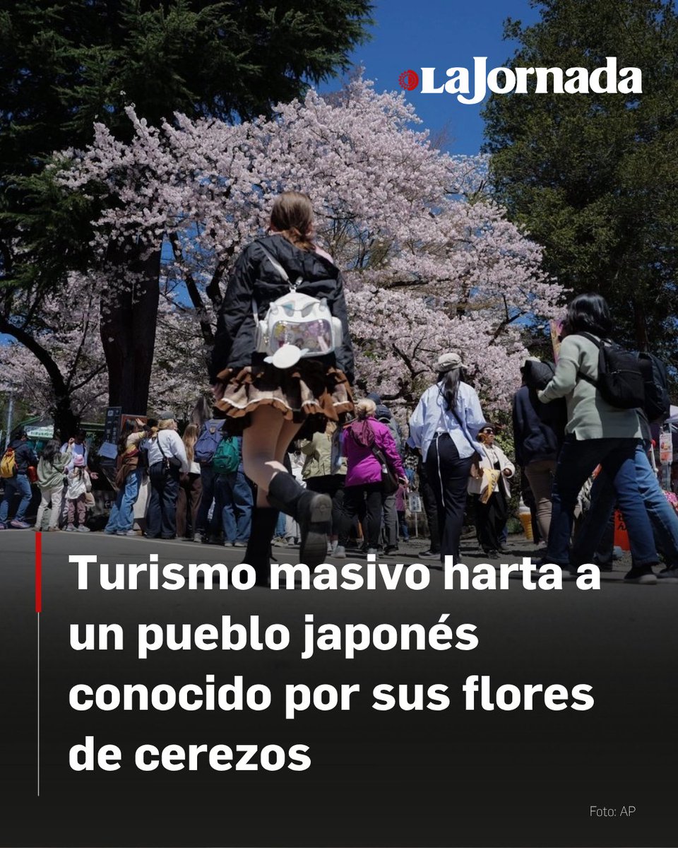 La Jornada tweet media