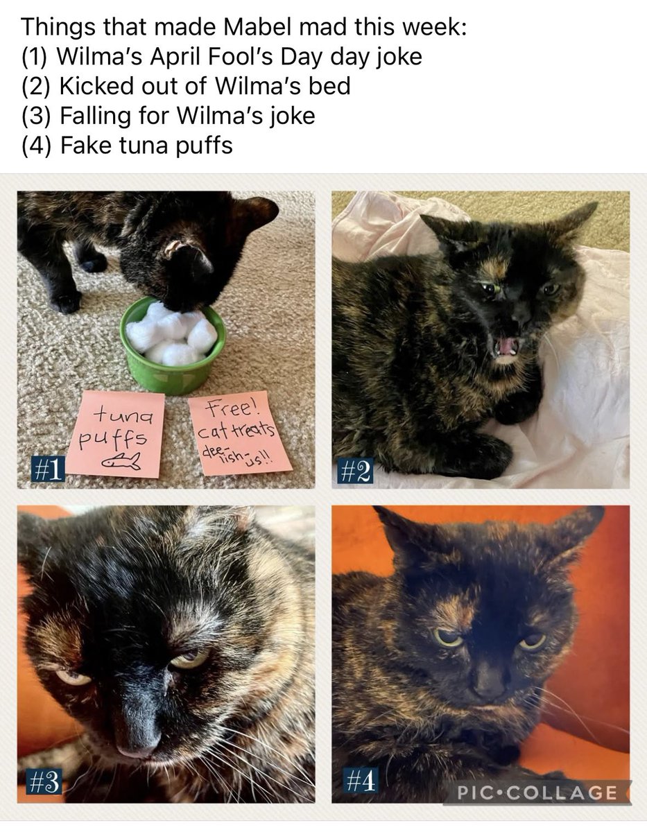 The Snoopervisor 2.0 /Moses (Wilma🌈) tweet media