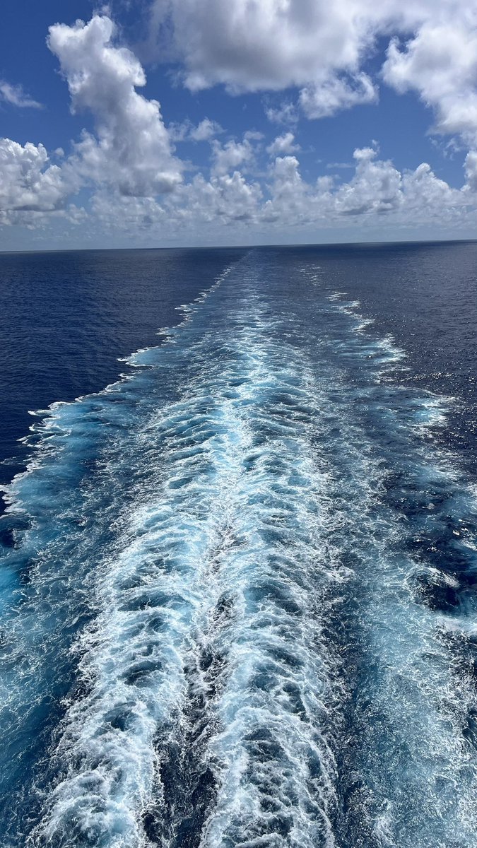 Funk Doido tweet media