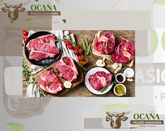 PL OCAÑA-PASION GANADERA tweet media