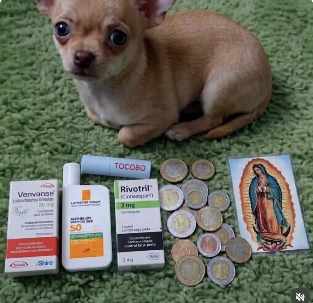 Tatiana la del barrio tweet media