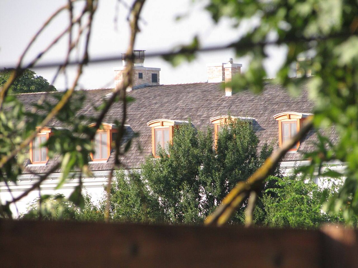 Jay in Kyiv tweet media