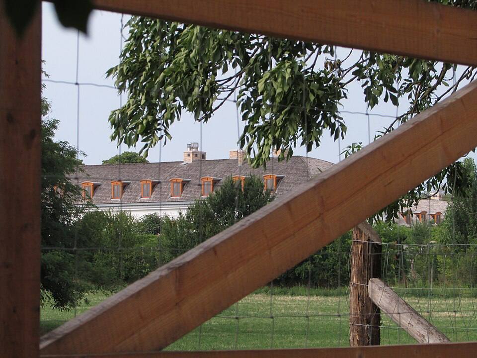 Jay in Kyiv tweet media