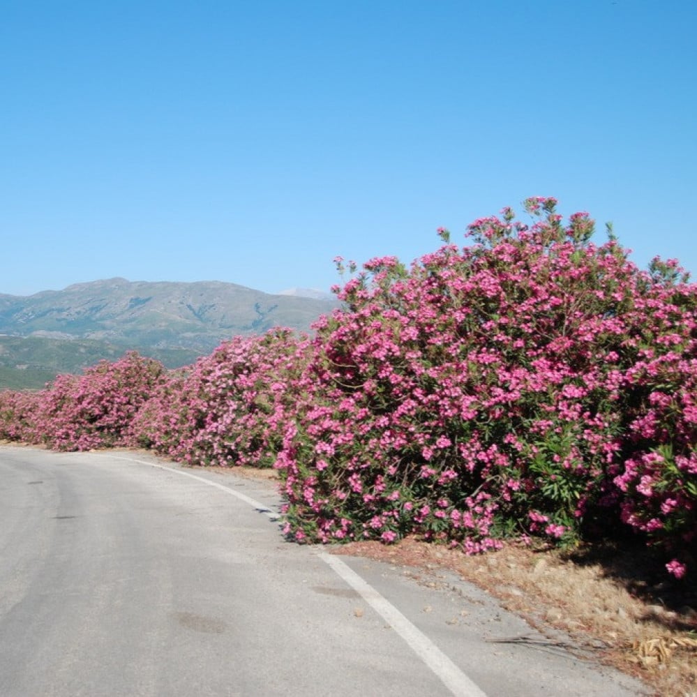 أسامة الواعظ tweet media