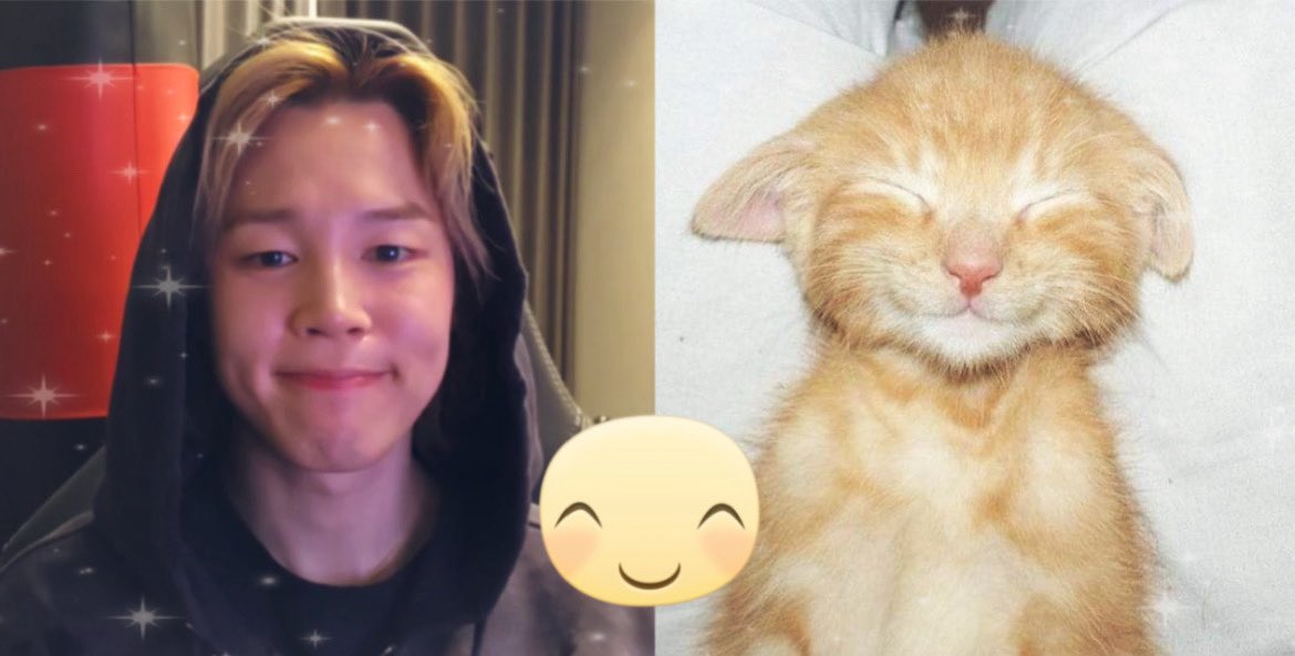 mafia boss jungkook tweet media