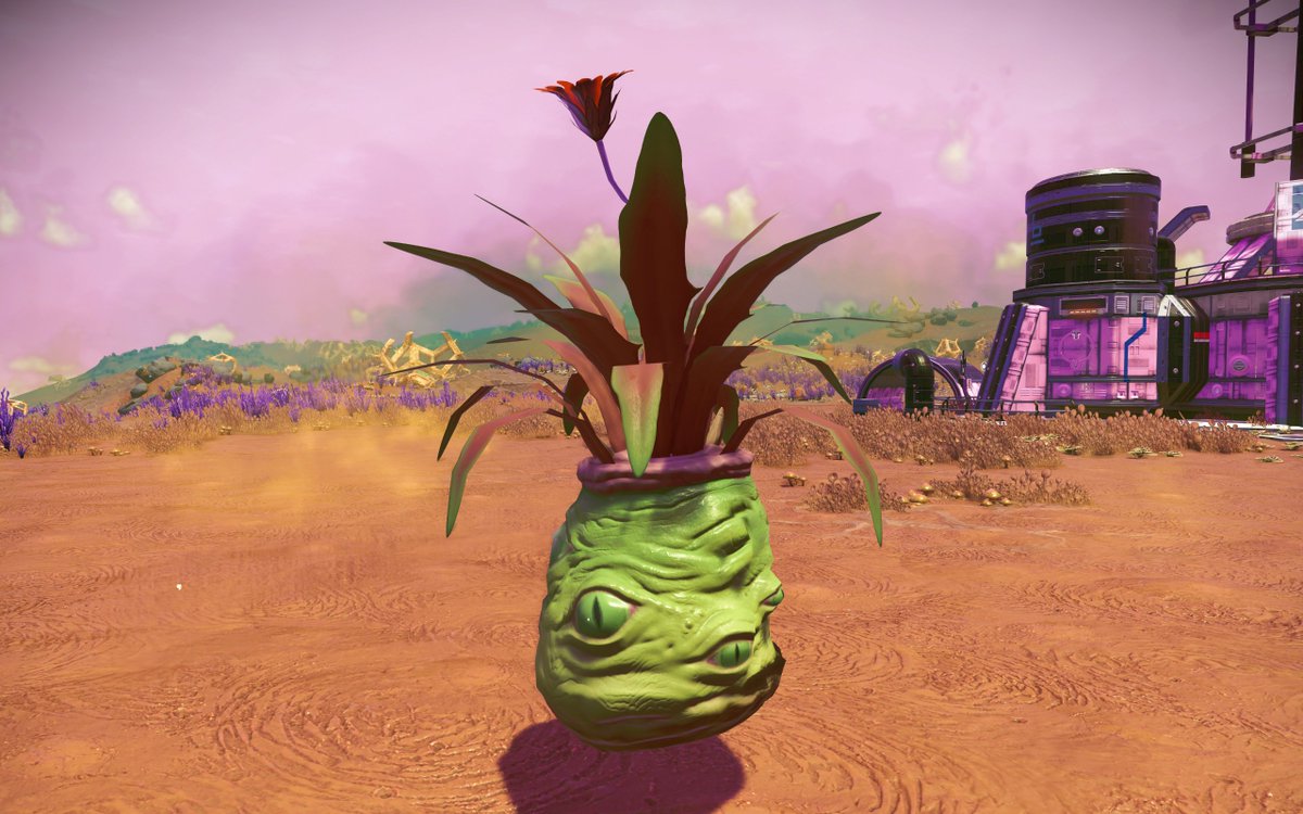 すのうふ tweet media