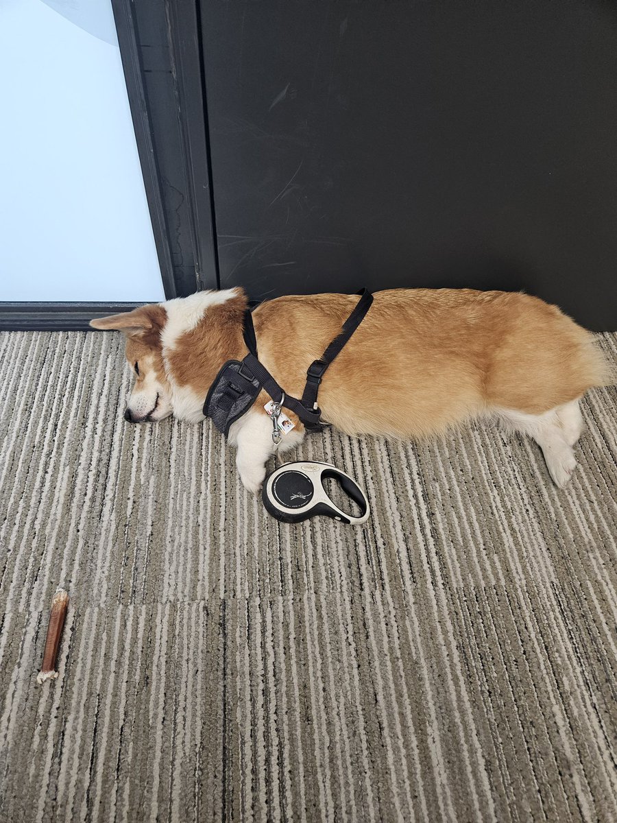 MATimoshchuk's tweet photo. It’s important to let the Loaf rest~ 🍞🛌❤️ https://t.co/EQHtn7VYsu