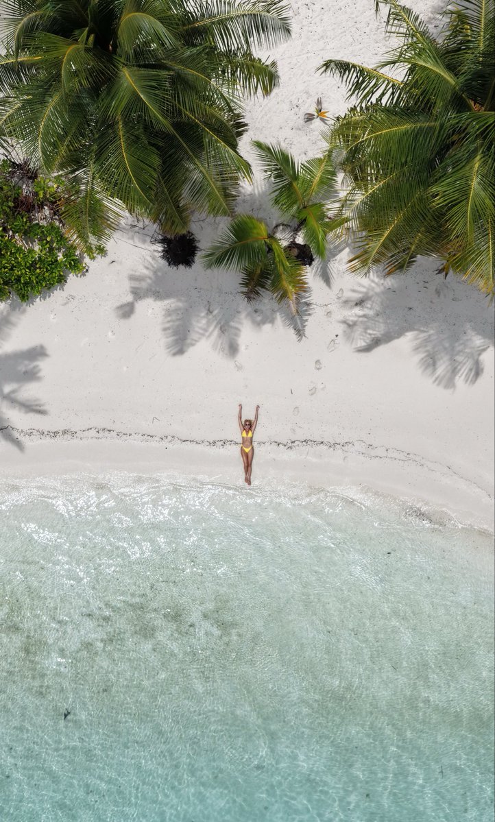 Patricia 𐚁 tweet media