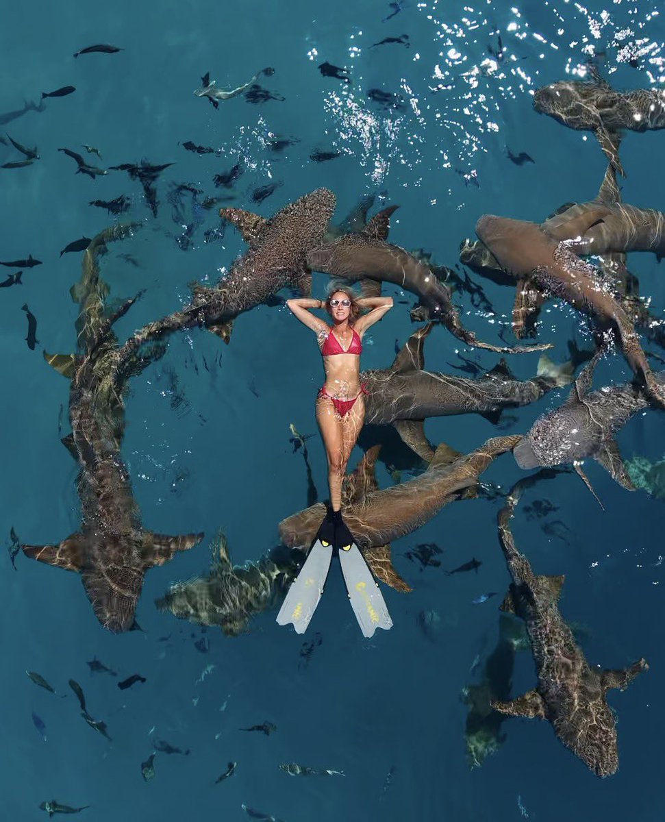 Patricia 𐚁 tweet media