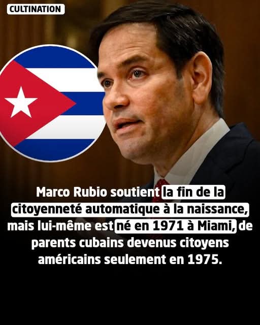 MDevautour tweet media