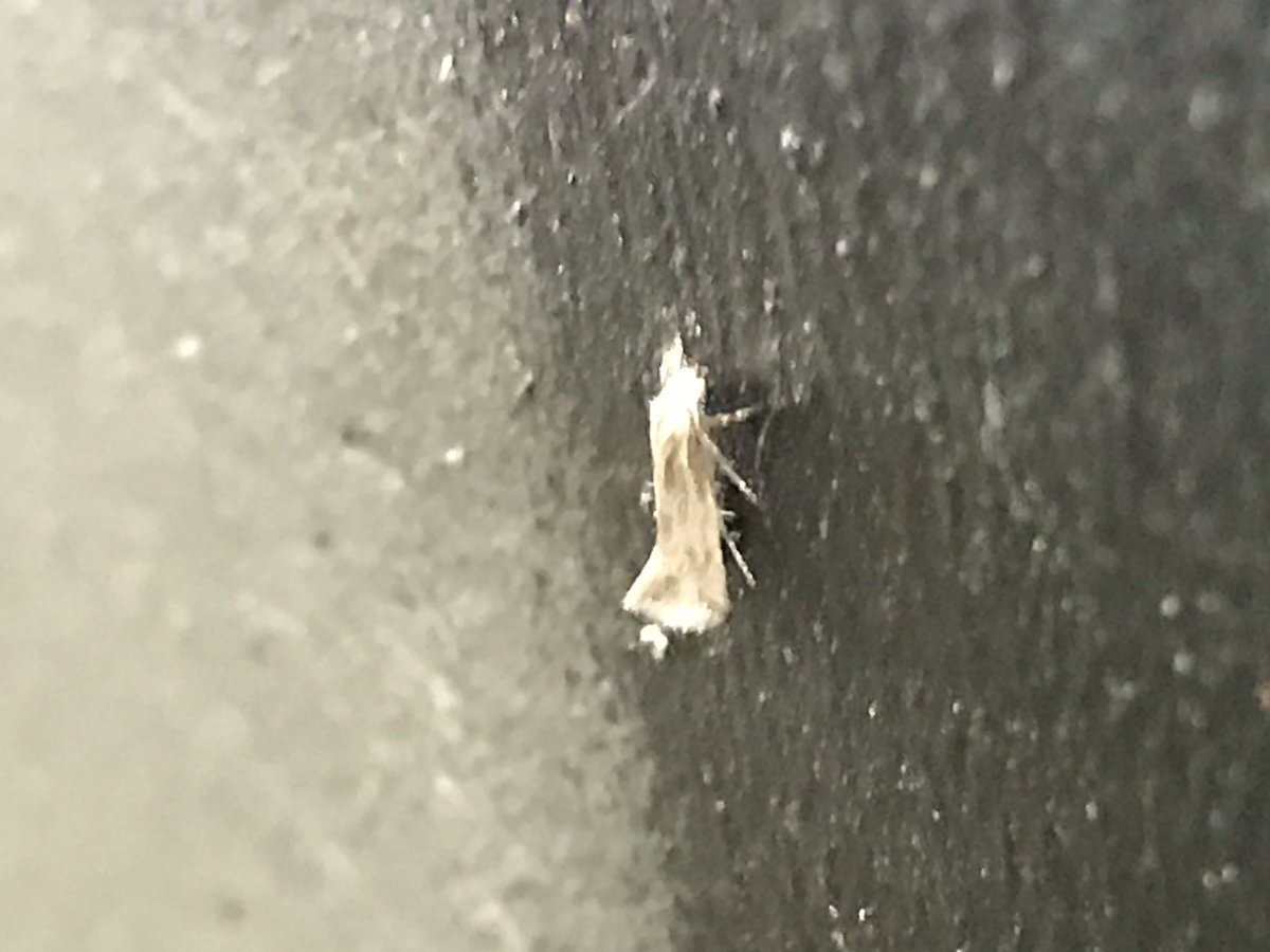 Phil Jackman tweet media