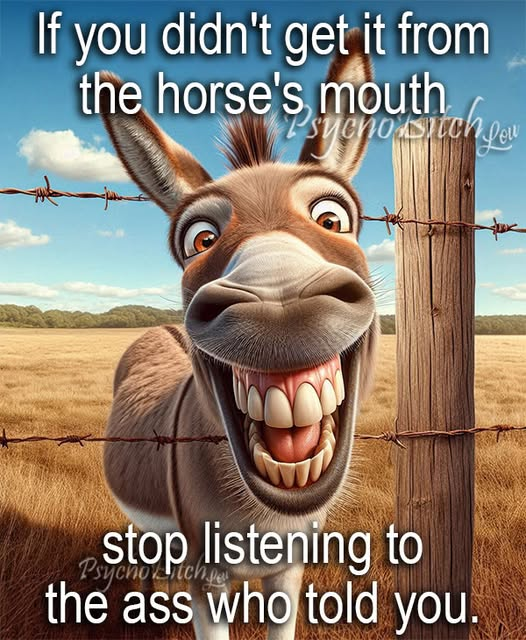 F4DBS Philippe tweet media