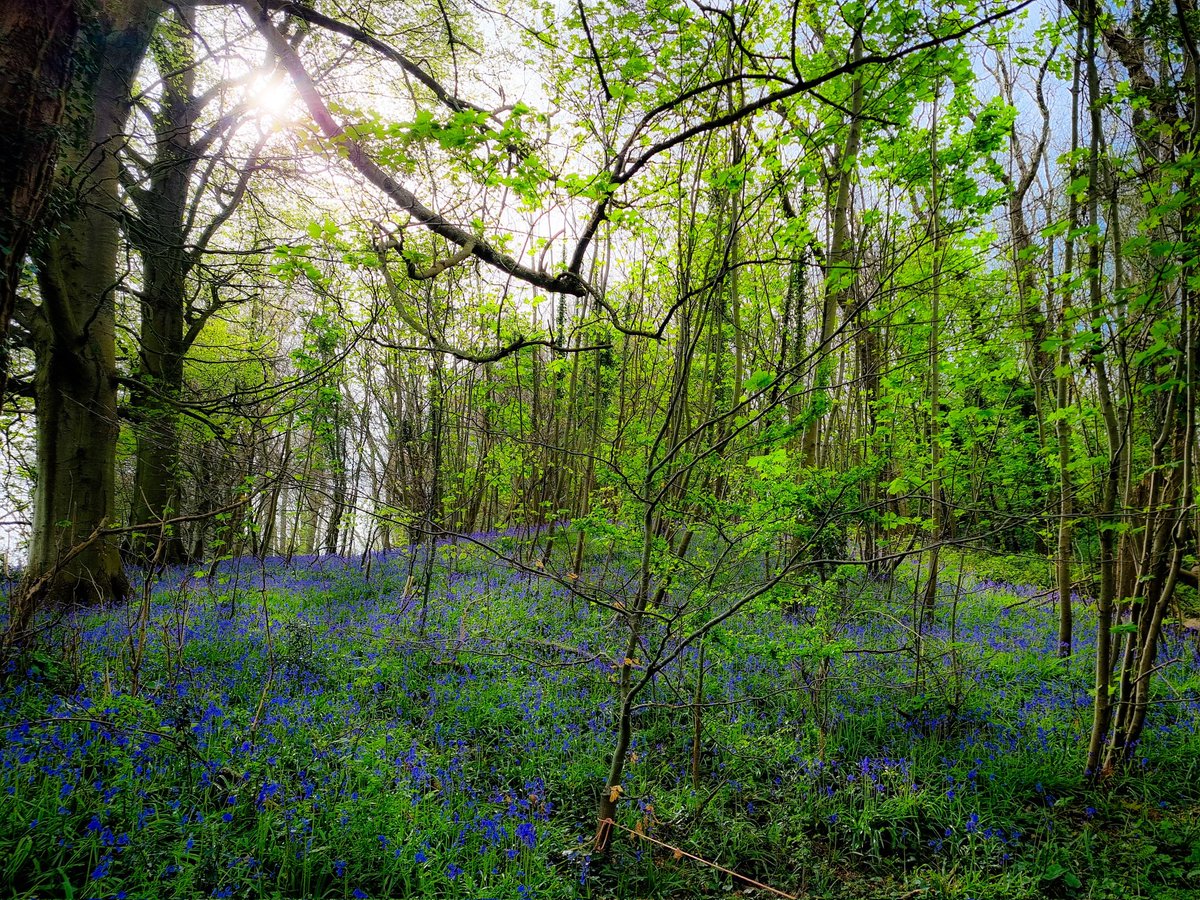 Ed Smith tweet media