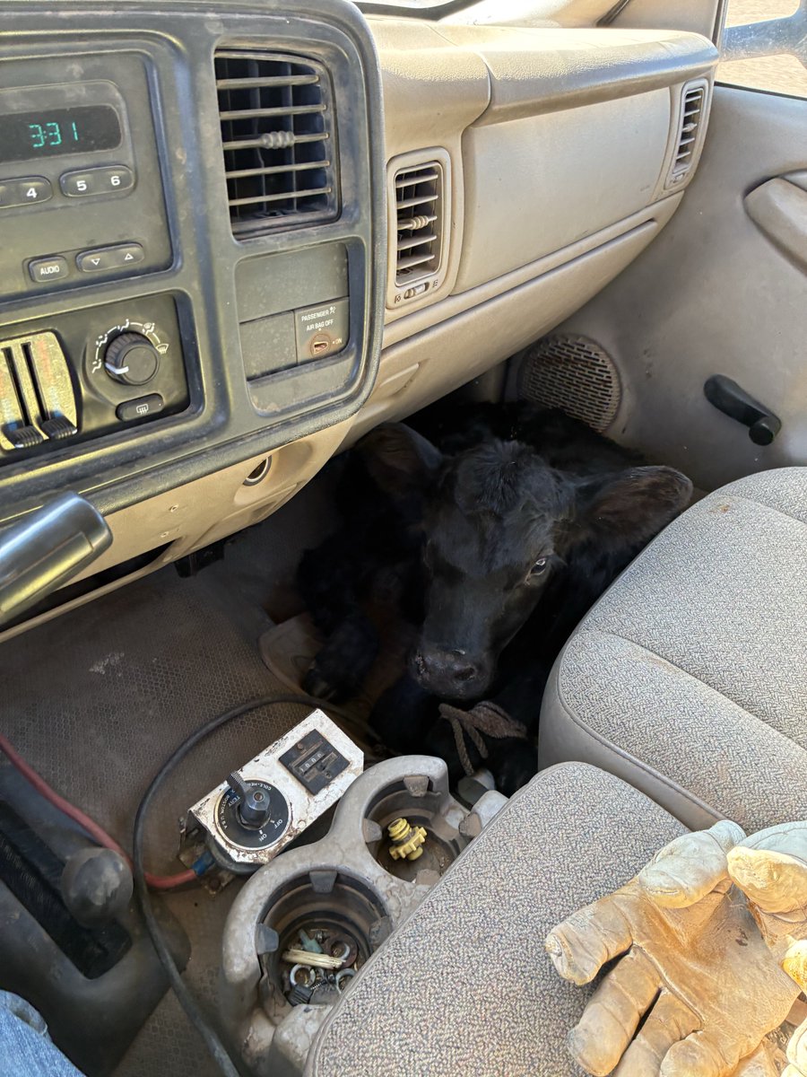 Preston Greenfield tweet media