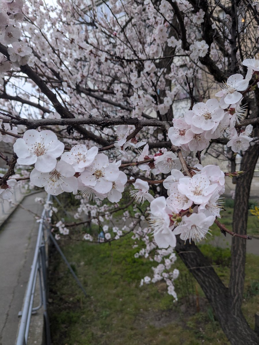 デフォルトDefaulT🦇☦️🥀 tweet media