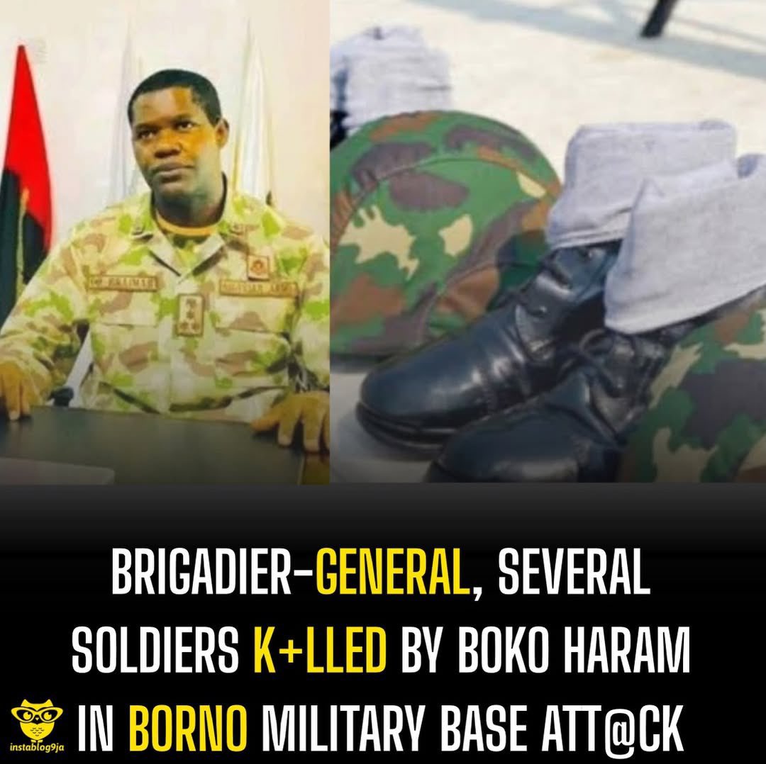 EdnutMusk tweet media