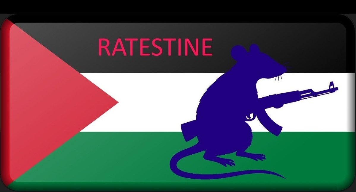 DonPingPong tweet media