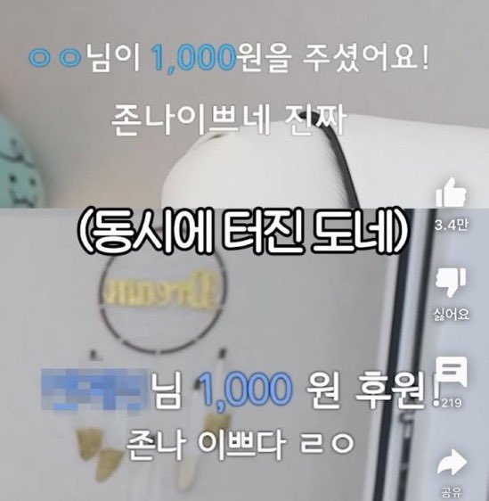 개밍식이 보여주는 기적 tweet media