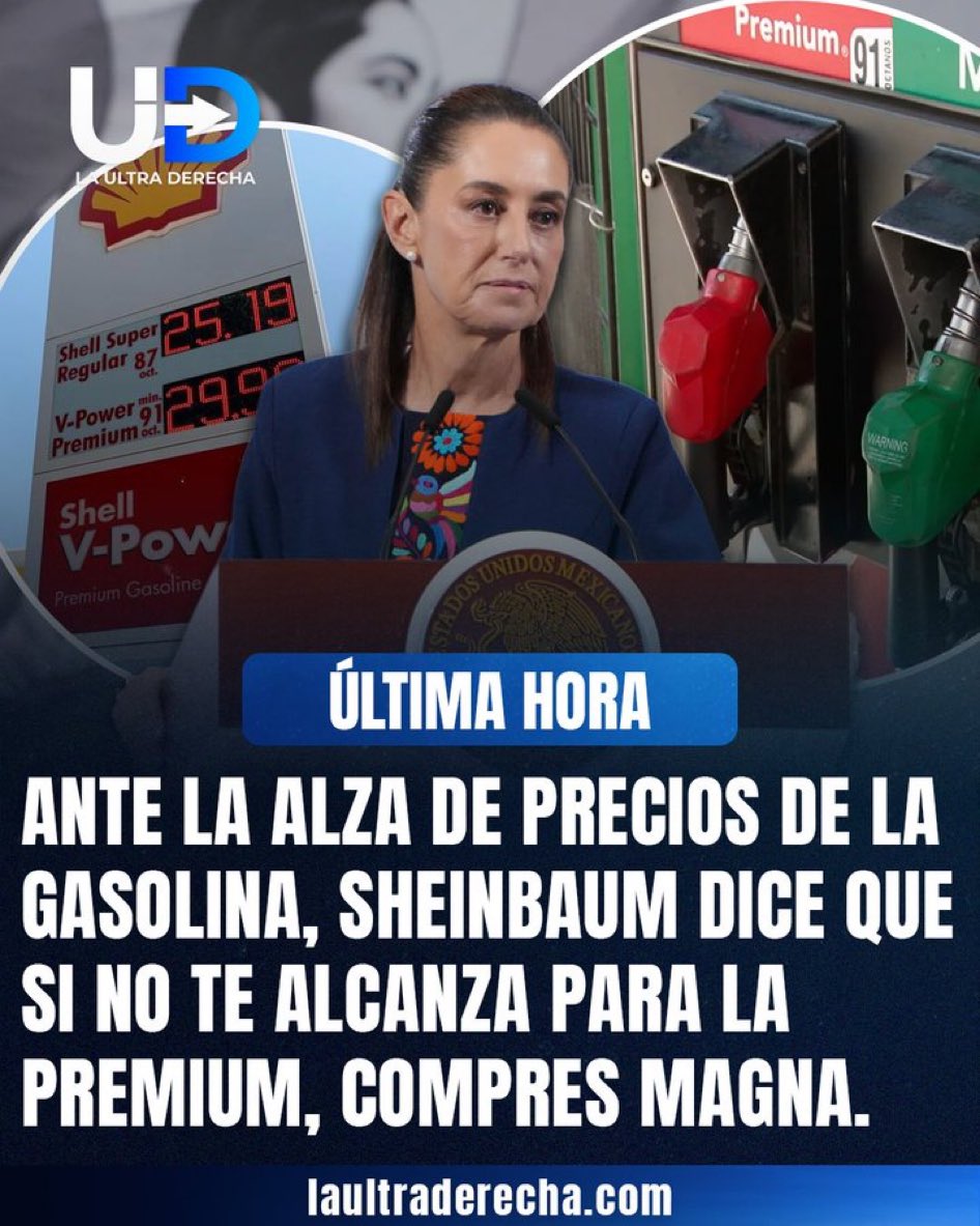 LetyMaldo tweet media