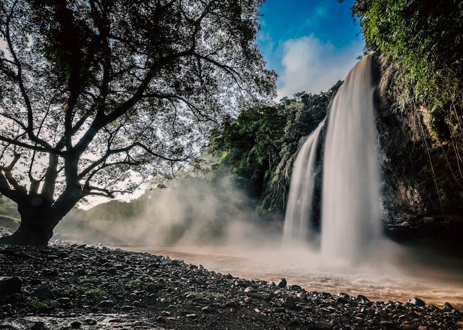 Jacob Gibson tweet media