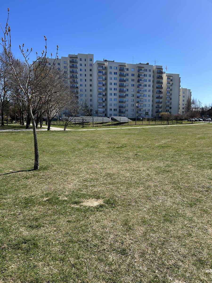 TeslaXander tweet media