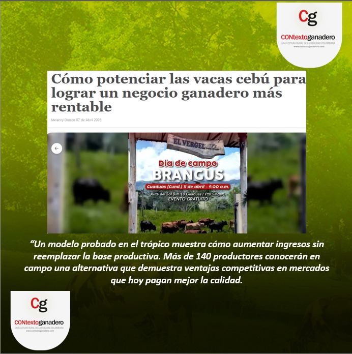 PL OCAÑA-PASION GANADERA tweet media