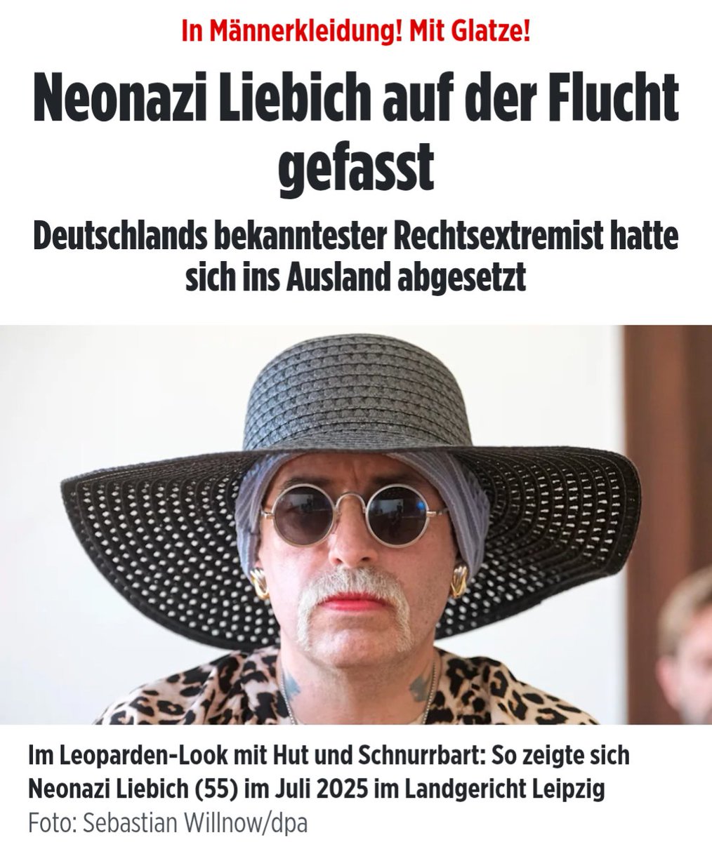 Dara 🇩🇪 tweet media