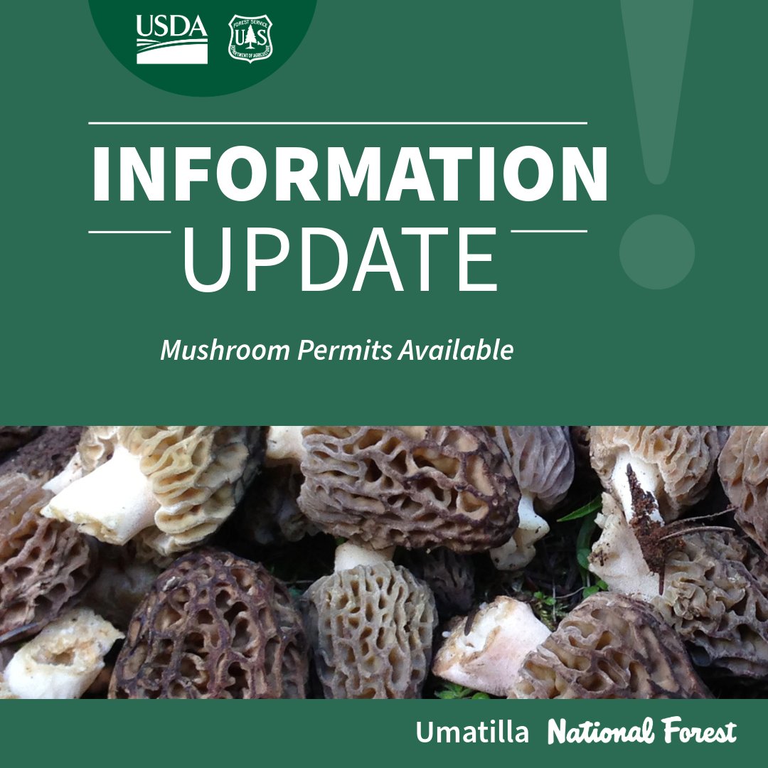 Umatilla NF tweet media