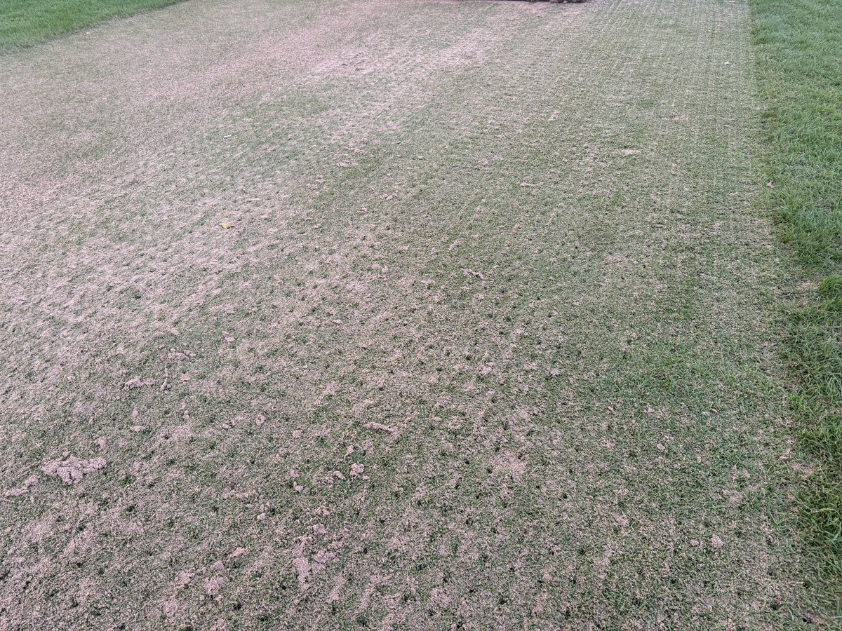 c86low's tweet image. Tees renovations ahead of overseeding next week! 20t sand applied with more planned following seeding next week! #golf #turf #greenkeeping