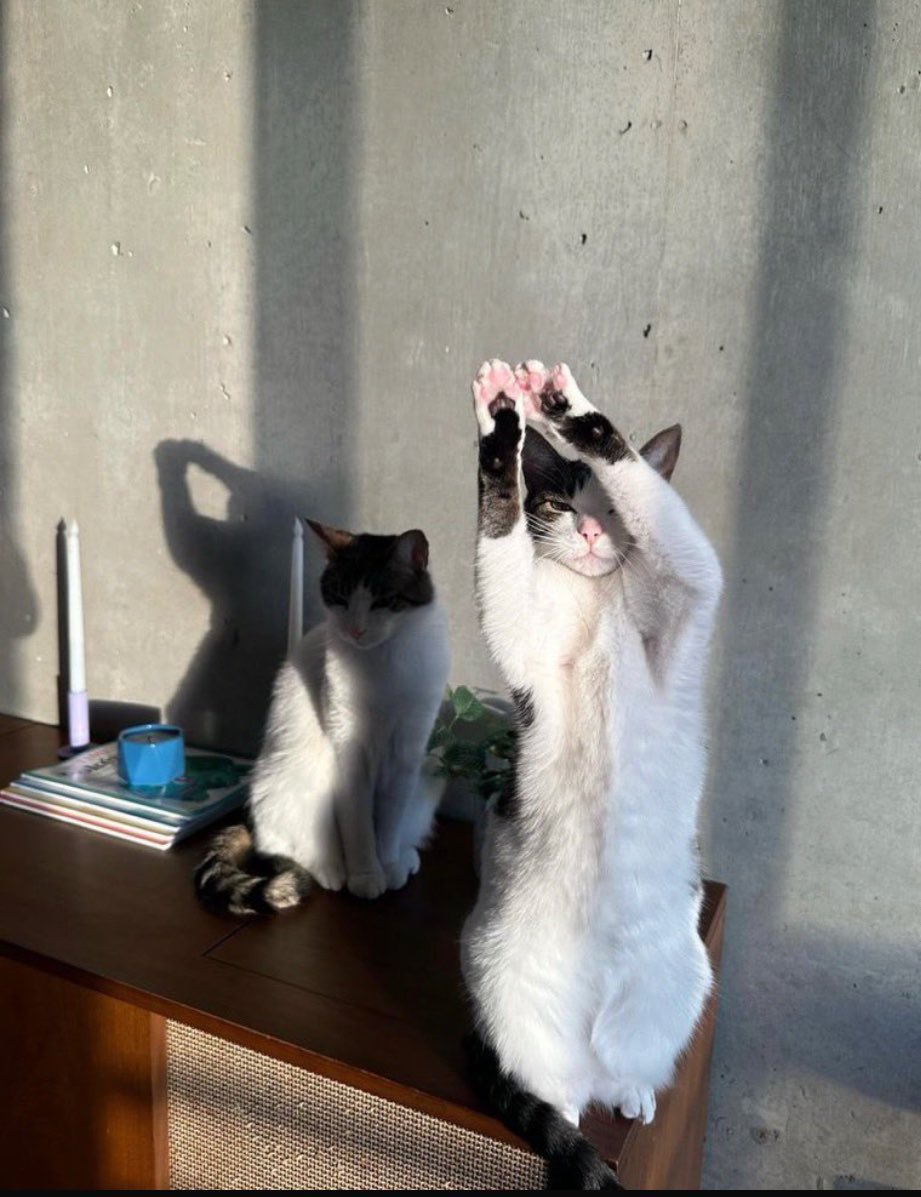 tamer aydın tweet media