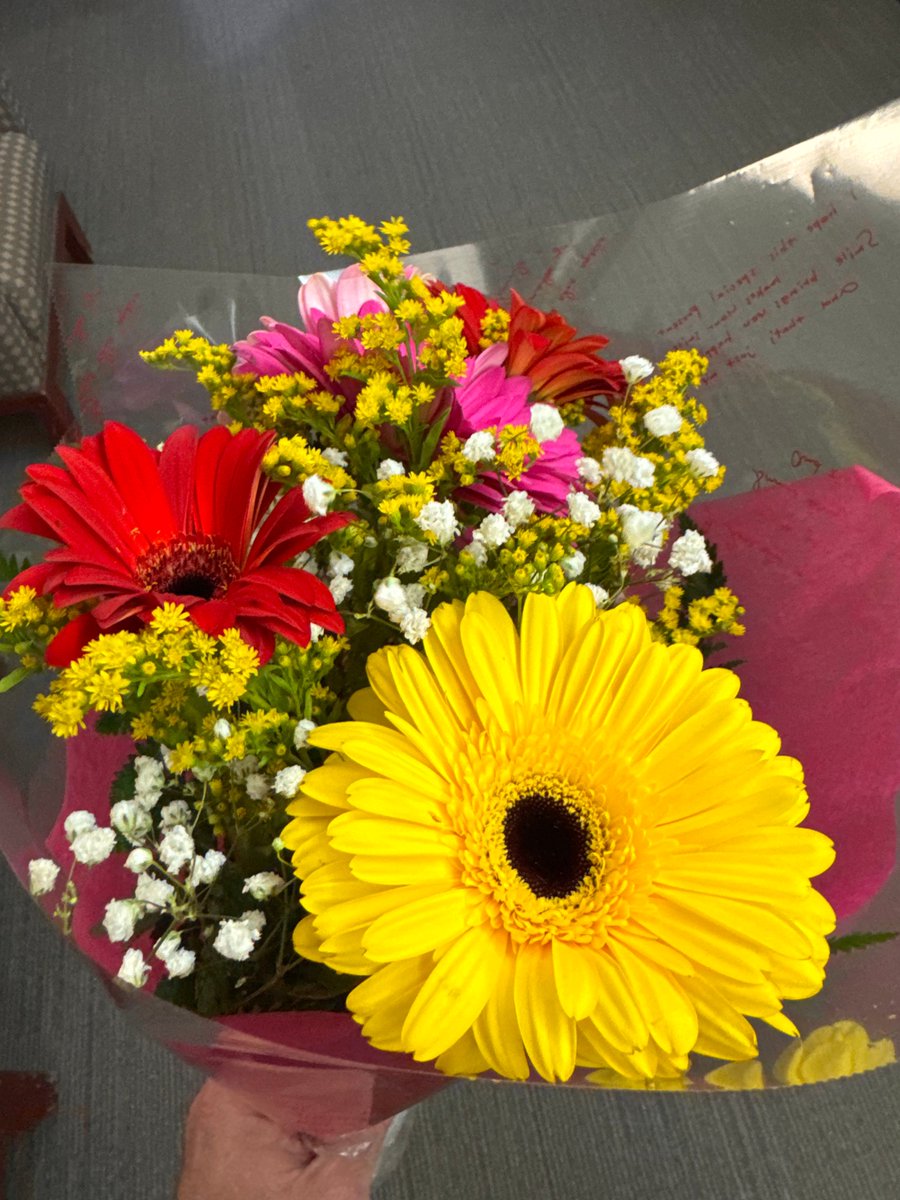 Joann Ariola NYC Council District 32 tweet media