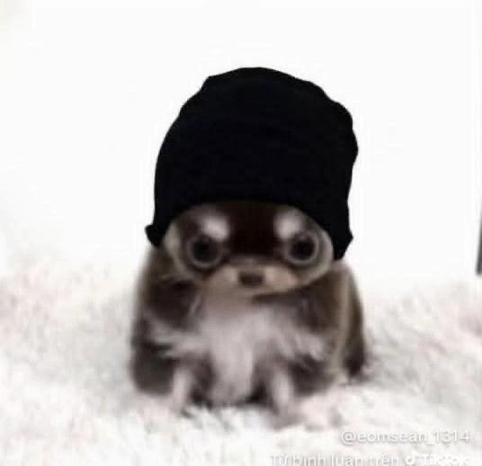 acervo calças do woojin | Boo Thang tweet media