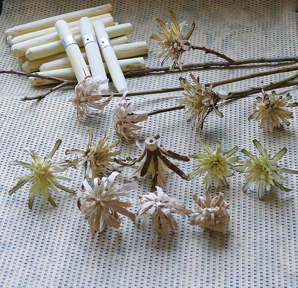 Steve Caple tweet media