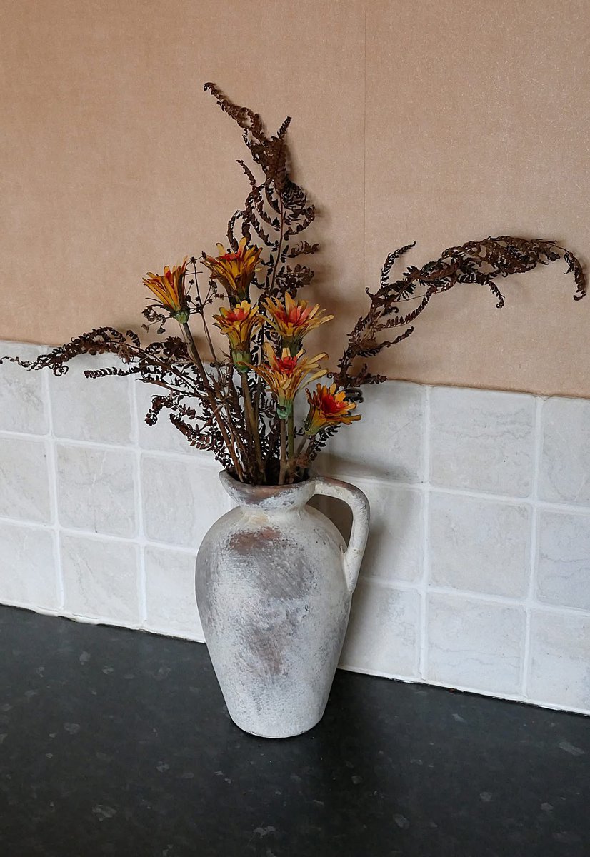 Steve Caple tweet media