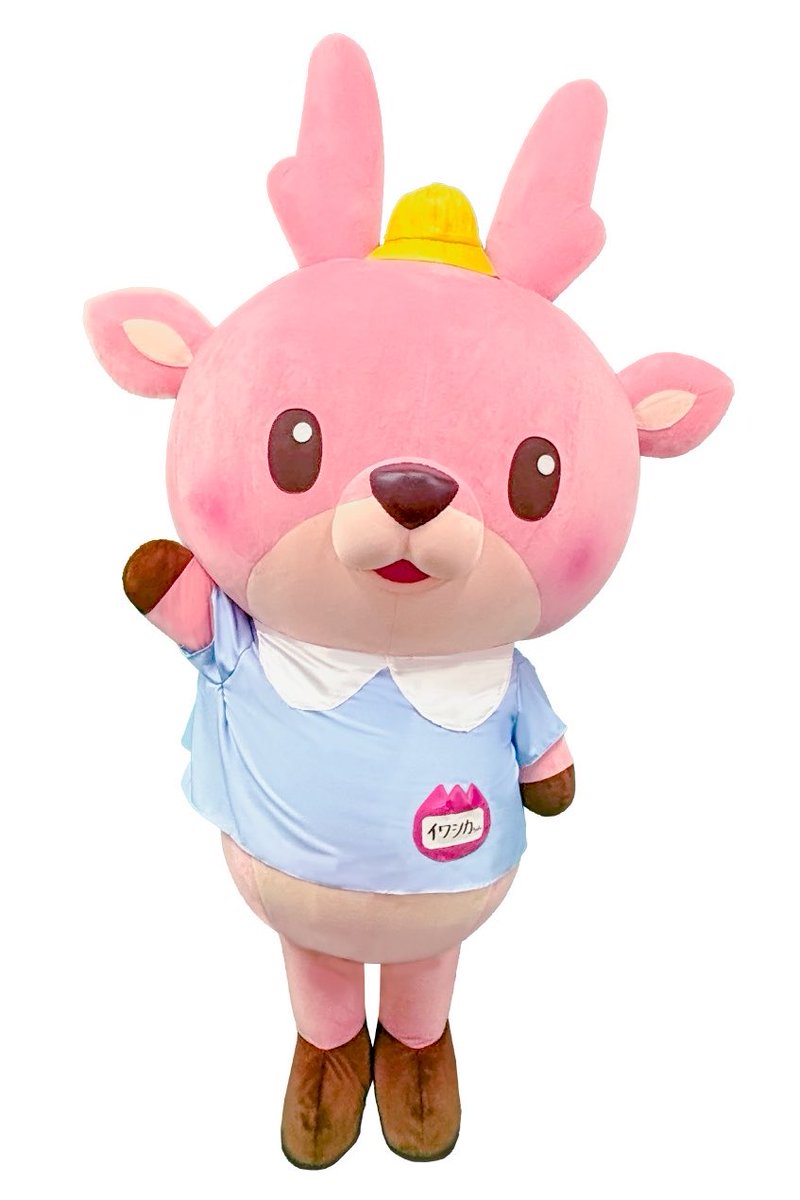 岩下 和了 🆕🫚 tweet media