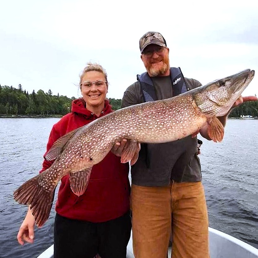 Sunset Country tweet media