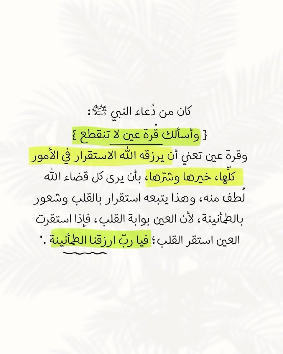 رجل ؏ـــاོبـر🕊 tweet media