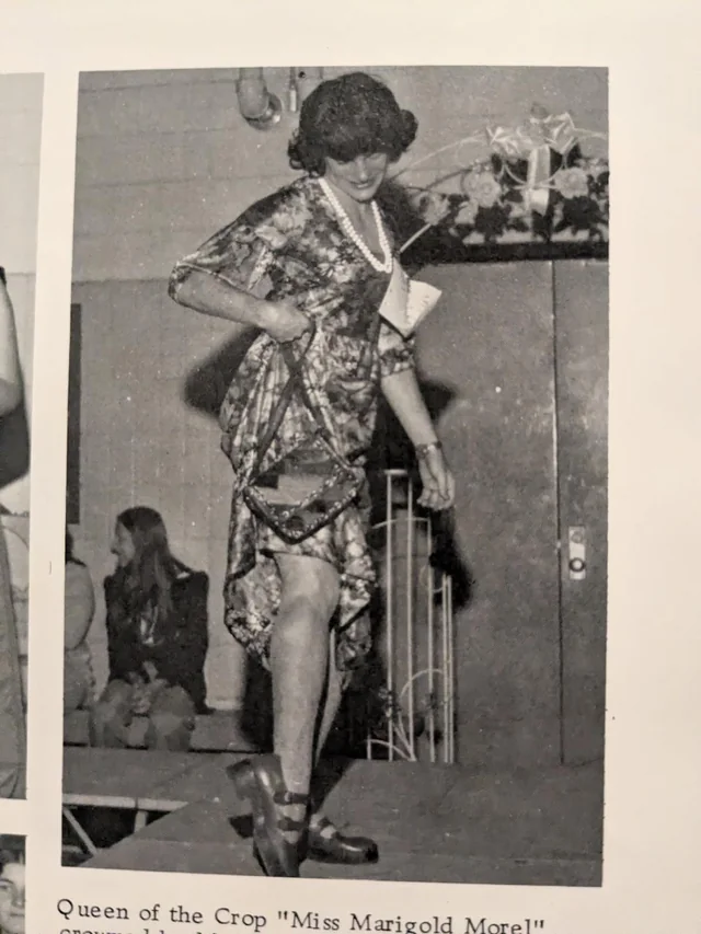 Anonymous tweet media