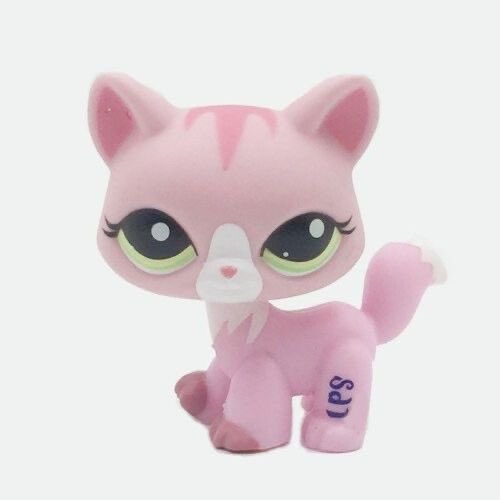 jane 🤍 tweet media