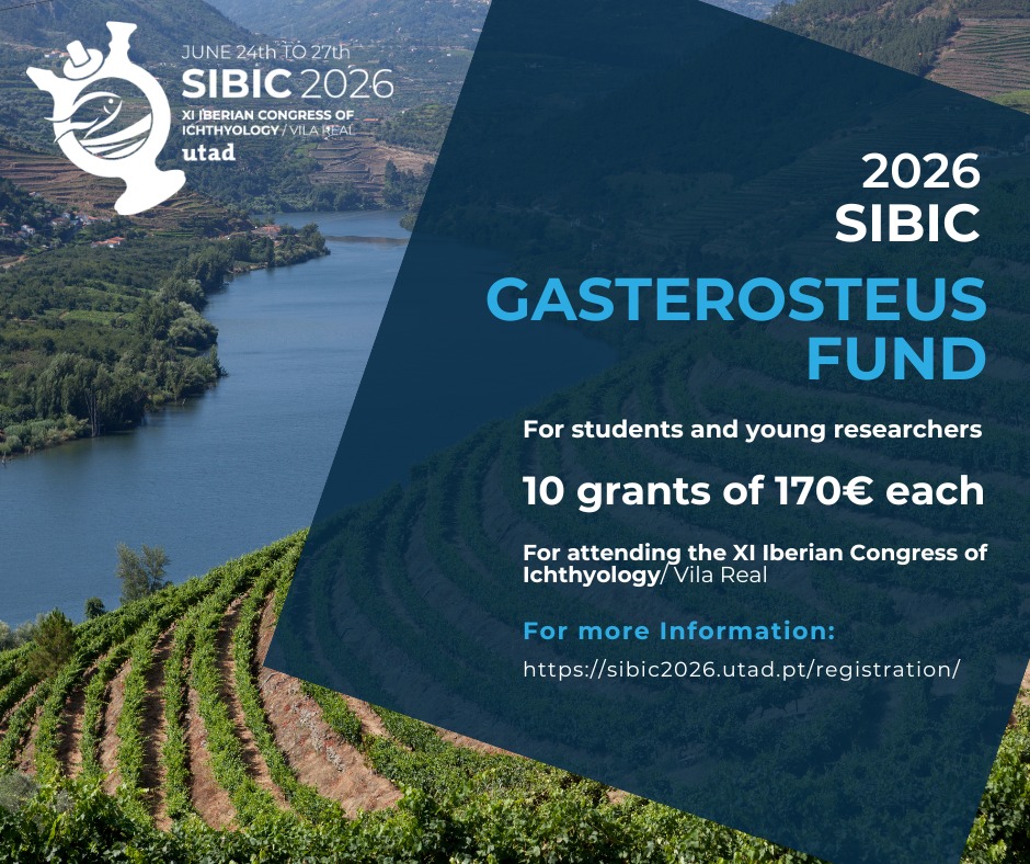 SIBICorg's tweet photo. We have decided to migrate from X. Stay in touch with us on our many other social networks!

Find us on:
BlueSky: https://t.co/BTL9dQn6J9
Facebook: https://t.co/xHJVM823Vo
Instagram: sibic_org
Linkedin: Sociedade Ibérica de Ictiologia - SIBIC

See you at SIBIC2026 in Vila Real ! https://t.co/29dOyg7Uxf
