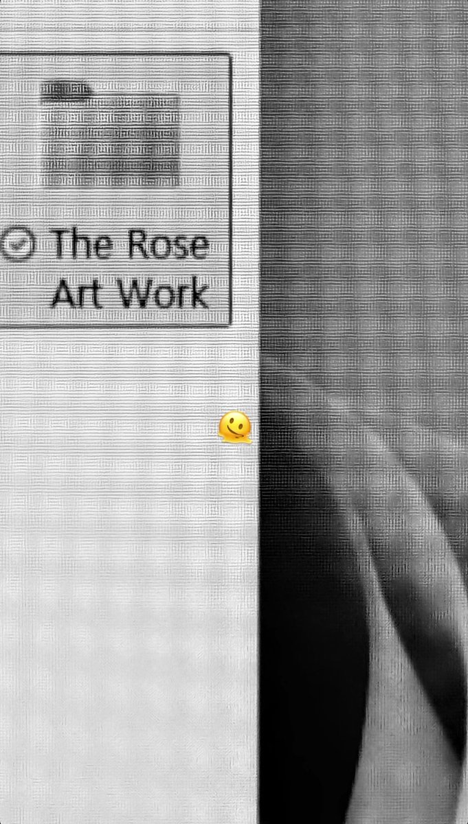 The Rose Brasil🌹 tweet media