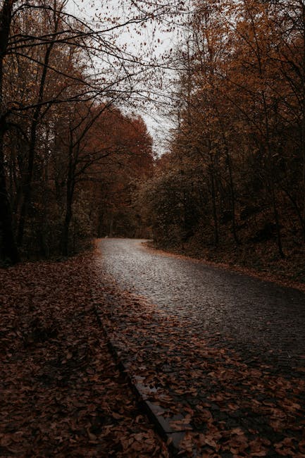 Anthony Torres tweet media