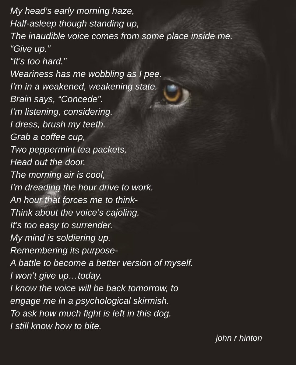 John R. Hinton tweet media