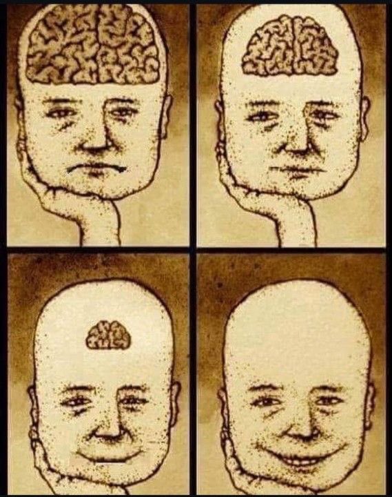 PmAmTraveller tweet media