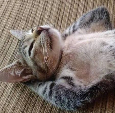 🧍‍♀️ tweet media