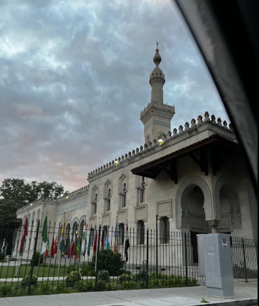 Tony Seruga tweet media