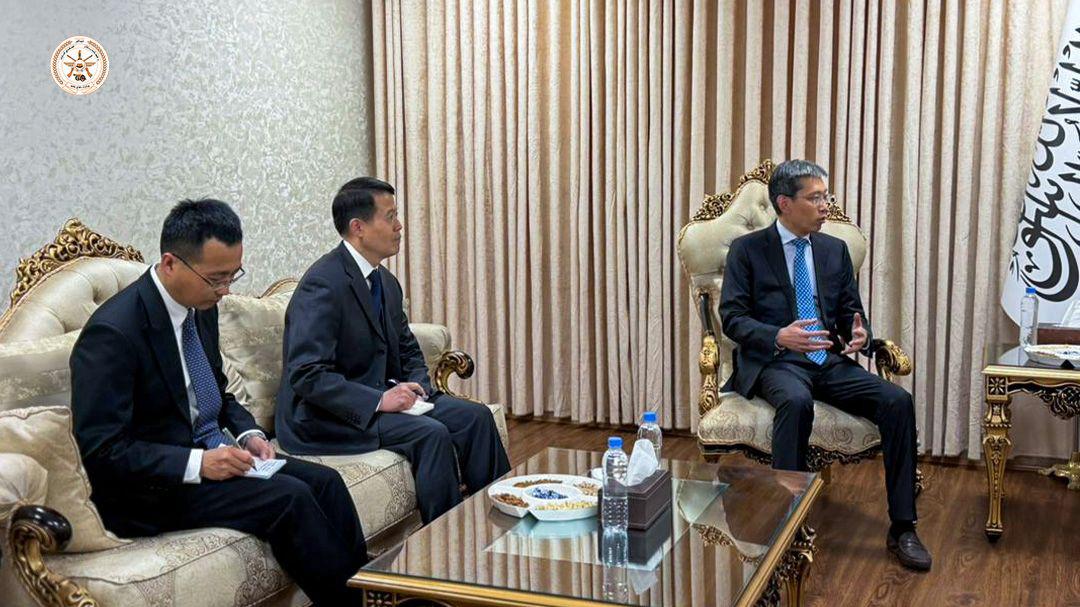 عاصم ملنگ tweet media