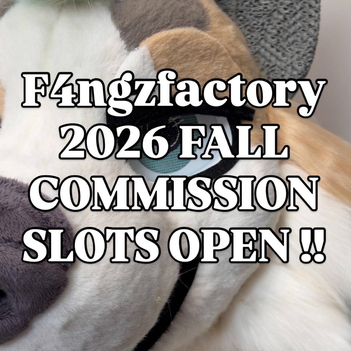 F4NGZFACTORY tweet media